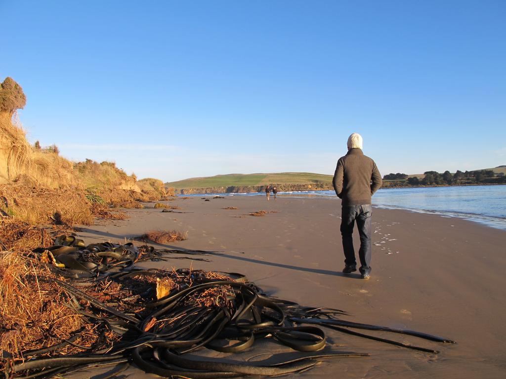 Catlins Newhaven Holiday Park Owaka Værelse billede