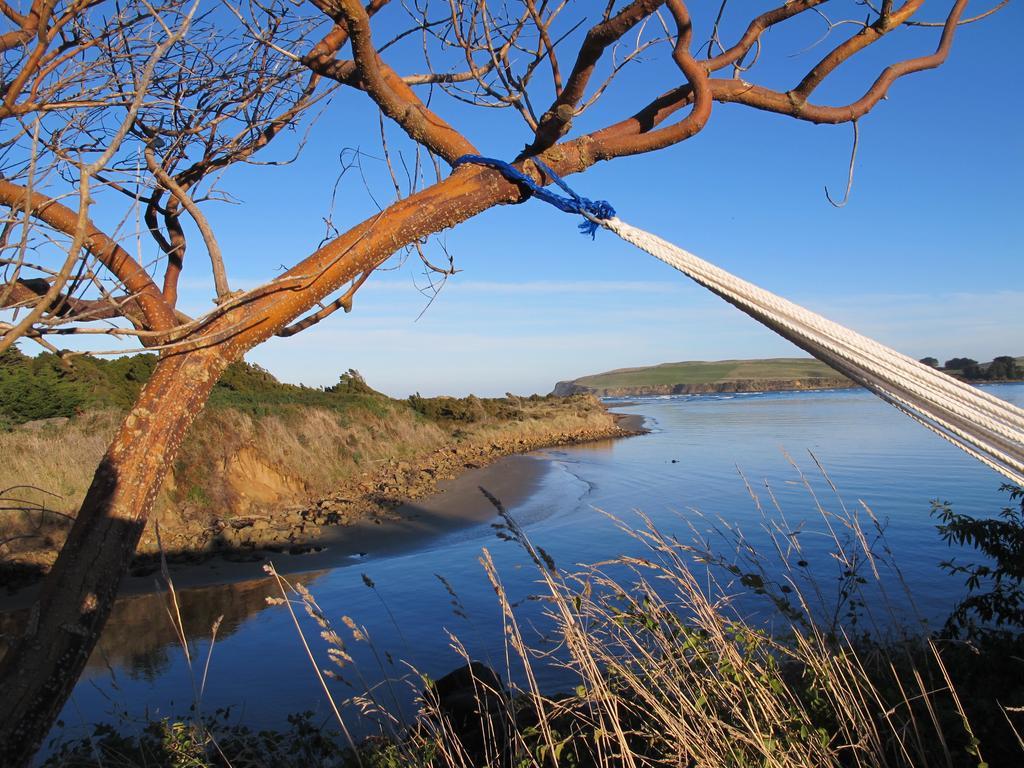 Catlins Newhaven Holiday Park Owaka Værelse billede