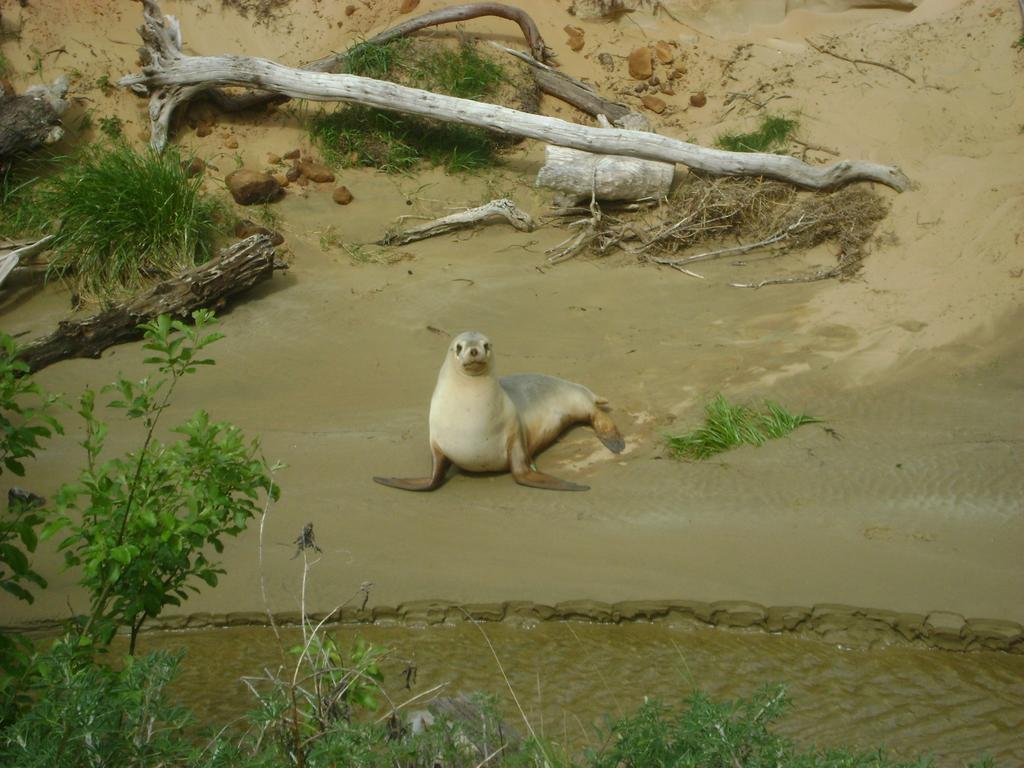 Catlins Newhaven Holiday Park Owaka Eksteriør billede