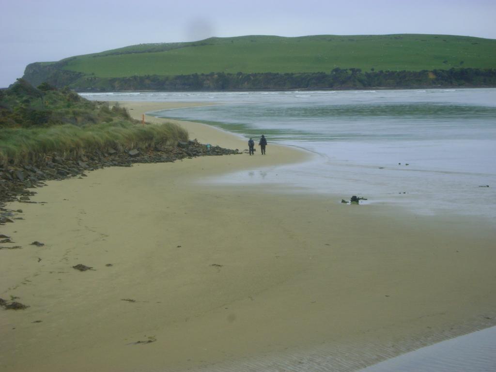 Catlins Newhaven Holiday Park Owaka Eksteriør billede